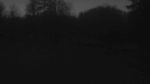 Ski klub RD Rýmařov - Areál ski klubu - 20.12.2025 v 16:30 Ski klub RD Rýmařov - Areál ski klubu - 20.12.2025 v 16:30