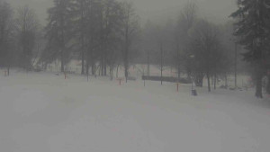 Ski klub RD Rýmařov - Areál ski klubu - 15.1.2026 v 10:30 Ski klub RD Rýmařov - Areál ski klubu - 15.1.2026 v 10:30