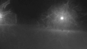 Ski klub RD Rýmařov - Areál ski klubu - 4.2.2026 v 02:00 Ski klub RD Rýmařov - Areál ski klubu - 4.2.2026 v 02:00