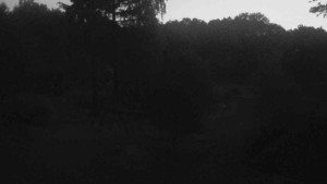 Ski klub RD Rýmařov - Dětské hřiště - 21.6.2025 v 22:00 Ski klub RD Rýmařov - Dětské hřiště - 21.6.2025 v 22:00