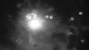 Snímek    27.10.2025 v 20:00