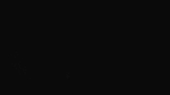 Snímek    29.10.2025 v 01:30