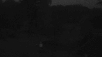 Snímek    29.10.2025 v 06:00