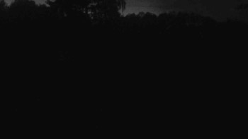 Snímek    29.10.2025 v 17:30