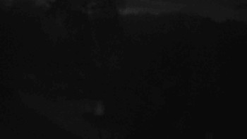 Snímek 5.11.2025 v 05:30