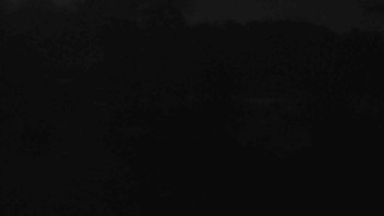 Snímek 6.11.2025 v 05:30