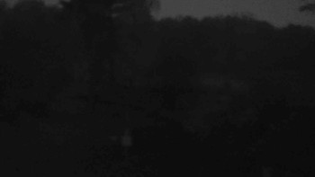 Snímek 6.11.2025 v 06:00