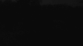 Snímek 7.11.2025 v 05:30