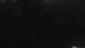 Ski klub RD Rýmařov - Dětské hřiště - 12.11.2025 v 17:00 Ski klub RD Rýmařov - Dětské hřiště - 12.11.2025 v 17:00