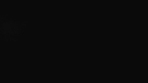 Ski klub RD Rýmařov - Sdružený snímek - 1.6.2025 v 02:00 Ski klub RD Rýmařov - Sdružený snímek - 1.6.2025 v 02:00