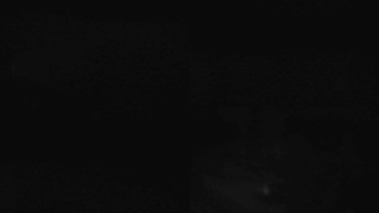 Snímek 6.11.2025 v 23:00