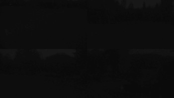 Snímek 7.11.2025 v 06:00