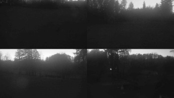 Snímek 7.11.2025 v 17:00