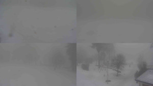 Ski klub RD Rýmařov - Sdružený snímek - 11.2.2026 v 12:00 Ski klub RD Rýmařov - Sdružený snímek - 11.2.2026 v 12:00