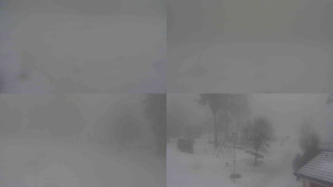 Ski klub RD Rýmařov - Sdružený snímek - 11.2.2026 v 12:30 Ski klub RD Rýmařov - Sdružený snímek - 11.2.2026 v 12:30