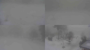 Ski klub RD Rýmařov - Sdružený snímek - 11.2.2026 v 15:00 Ski klub RD Rýmařov - Sdružený snímek - 11.2.2026 v 15:00