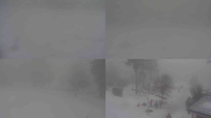 Ski klub RD Rýmařov - Sdružený snímek - 11.2.2026 v 15:30 Ski klub RD Rýmařov - Sdružený snímek - 11.2.2026 v 15:30