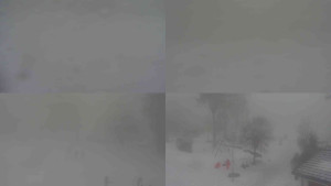 Ski klub RD Rýmařov - Sdružený snímek - 11.2.2026 v 16:00 Ski klub RD Rýmařov - Sdružený snímek - 11.2.2026 v 16:00