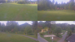 Sdružený snímek