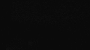 Klub biatlonu Břidličná - Pohled 1 - 19.4.2024 v 02:00 Klub biatlonu Břidličná - Pohled 1 - 19.4.2024 v 02:00