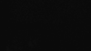 Klub biatlonu Břidličná - Pohled 1 - 19.4.2024 v 22:00 Klub biatlonu Břidličná - Pohled 1 - 19.4.2024 v 22:00