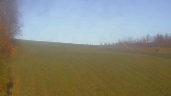 Snímek    4.11.2025 v 07:30