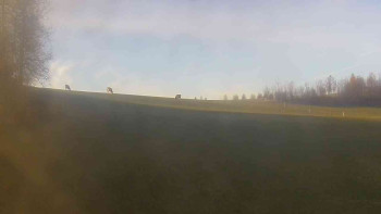 Snímek    4.11.2025 v 15:00