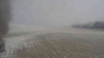 Snímek 19.11.2025 v 08:30