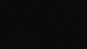 Klub biatlonu Břidličná - Pohled 1 - 27.3.2026 v 03:00 Klub biatlonu Břidličná - Pohled 1 - 27.3.2026 v 03:00