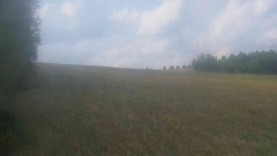 View 1