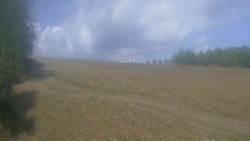 Widok 1