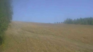 Klub biathlonowy Břidličná - Widok 1 - 8.8.2026 v 09:30 Klub biathlonowy Břidličná - Widok 1 - 8.8.2026 v 09:30