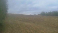 Widok 1