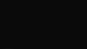 Klub biatlonu Břidličná - Pohled 2 - 5.11.2024 v 22:00 Klub biatlonu Břidličná - Pohled 2 - 5.11.2024 v 22:00