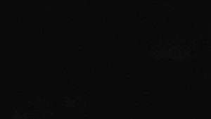 Klub biatlonu Břidličná - Pohled 2 - 30.10.2025 v 02:30 Klub biatlonu Břidličná - Pohled 2 - 30.10.2025 v 02:30