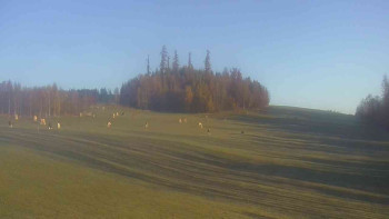 Snímek    31.10.2025 v 07:30