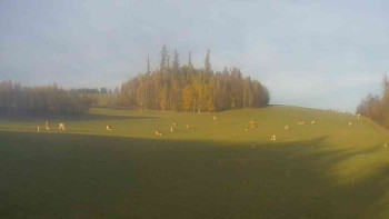 Snímek    31.10.2025 v 15:30