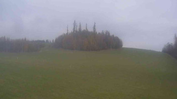 Snímek    1.11.2025 v 11:30