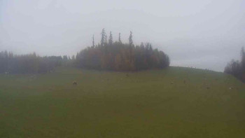 Snímek    3.11.2025 v 08:00