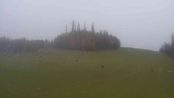 Snímek    3.11.2025 v 08:30