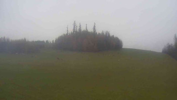 Snímek    3.11.2025 v 09:30