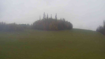 Snímek    3.11.2025 v 10:30