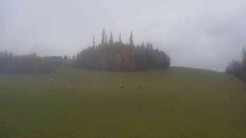 Snímek    3.11.2025 v 11:30