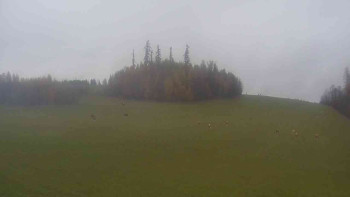 Snímek    3.11.2025 v 12:00