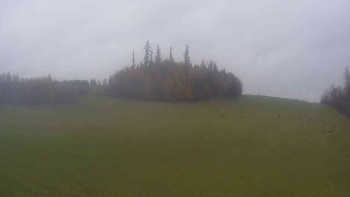 Snímek    3.11.2025 v 13:00