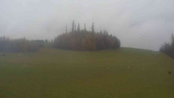 Snímek    3.11.2025 v 13:30