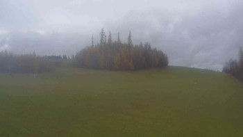 Snímek    3.11.2025 v 15:00