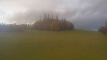 Snímek    3.11.2025 v 15:30