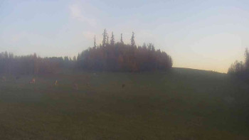 Snímek    4.11.2025 v 07:00