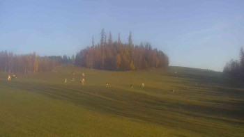 Snímek    4.11.2025 v 08:00